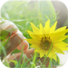 Allergy Relief Sourcebook